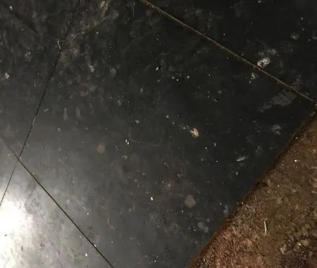 …